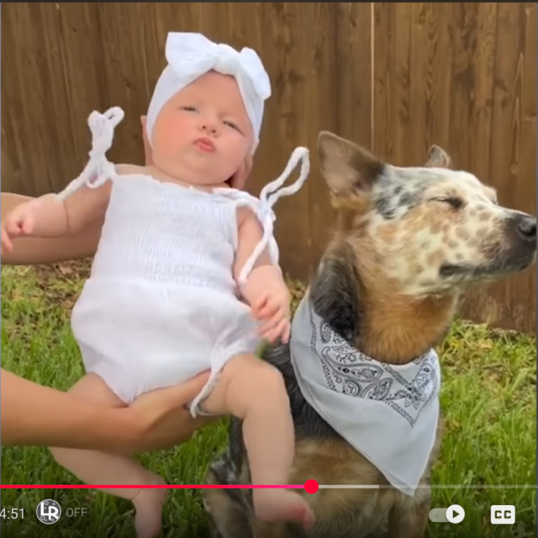 A Deaf Woman and Her Deaf Dog: An Inspiring Story of Love and Resilience| YouTube - HAPP A Deaf Woman And Her Deaf Dog 768x768